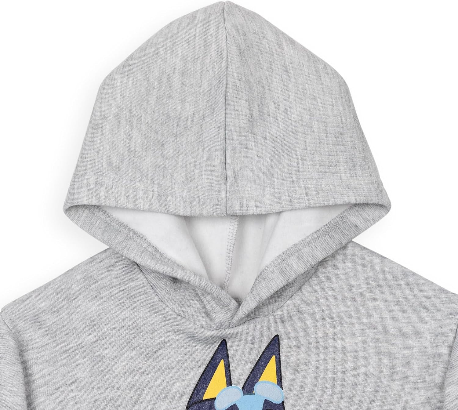 Fleece Pullover Hoodie and Pants Outfit Set Toddler to Little Kid Sizes (2T - 7-8)