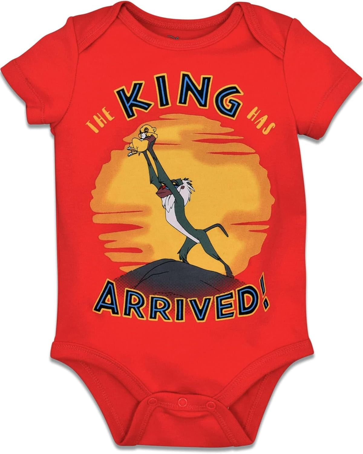 Baby 5 Pack Bodysuits Newborn to Infant Sizes (Newborn - 24 Months)